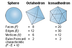 Euler-Poincare characteristic