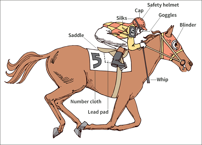 Jockey's equipment