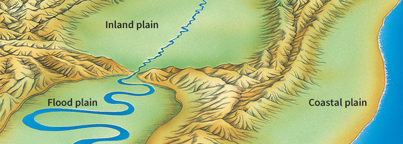 Kinds of plains