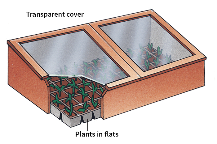 Cold frame