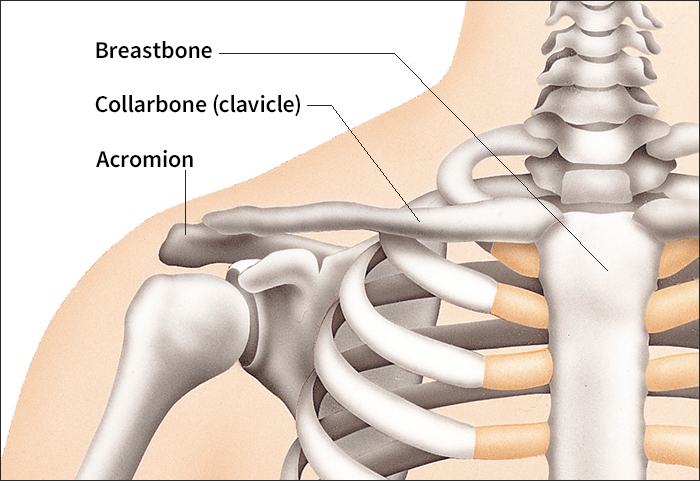 Collarbone