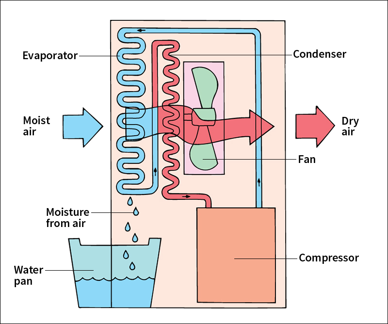 Dehumidifier