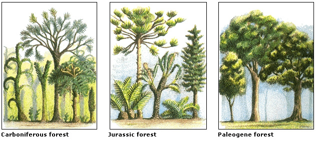 Early forests