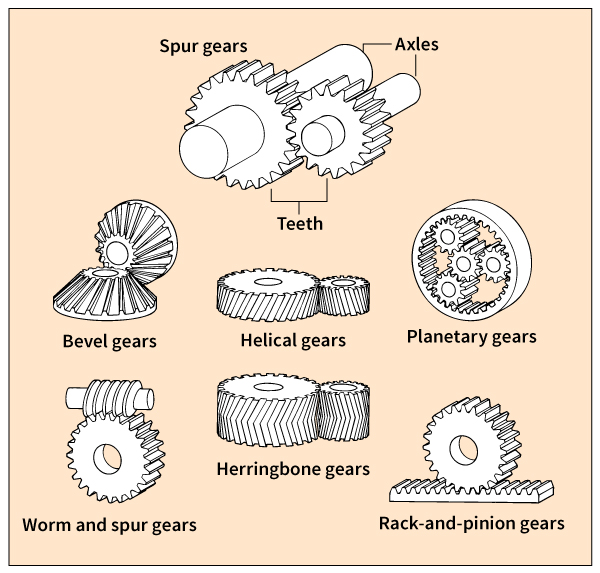 Some common types of gears