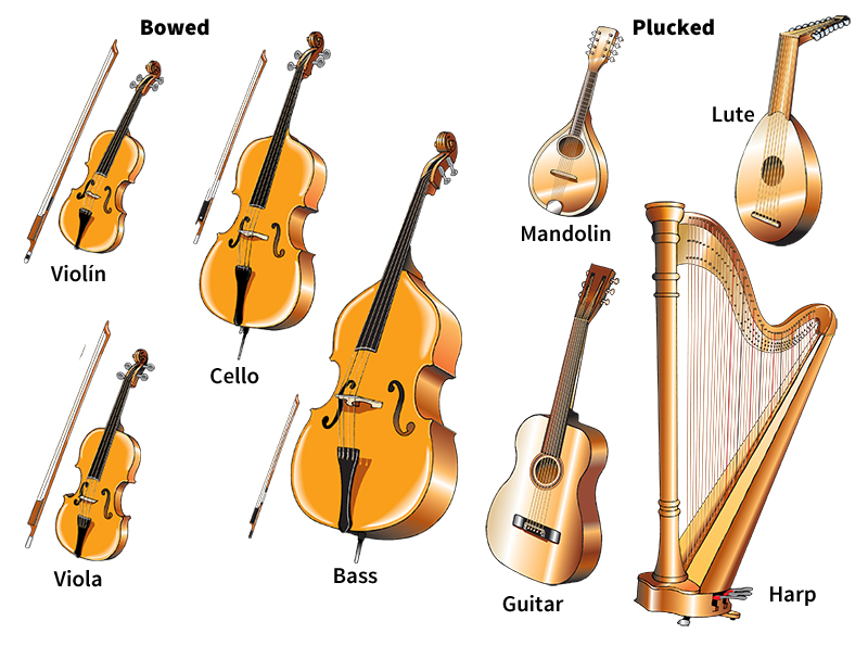 Stringed instruments