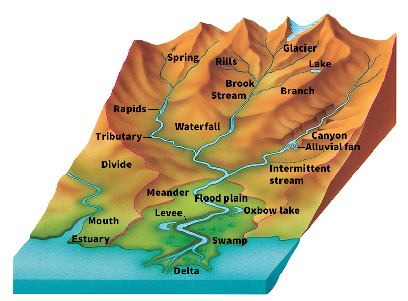 Parts of a river system