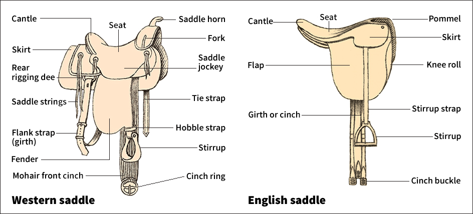 English and Western saddles