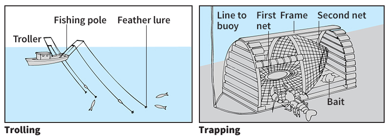 Common methods of hooking and trapping