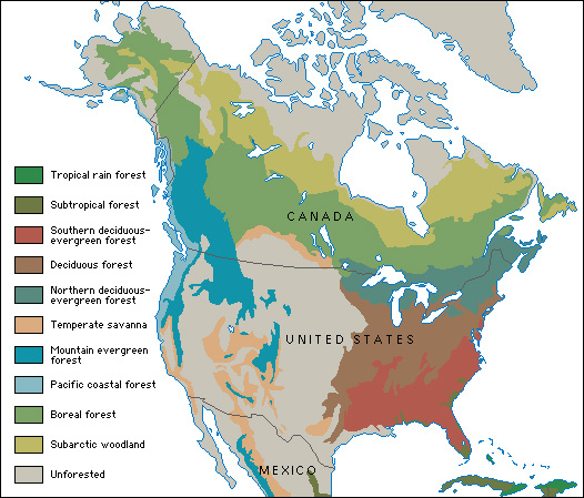 Forests of North America