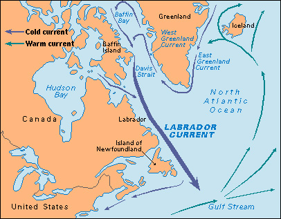 Labrador Current