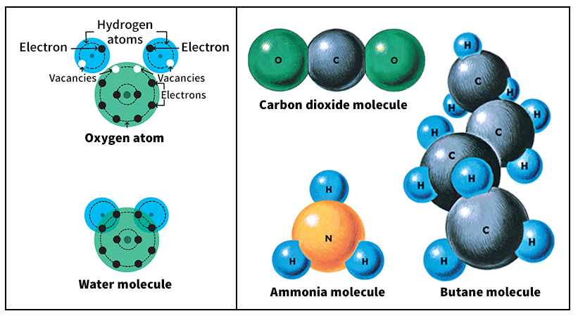 Some common molecules