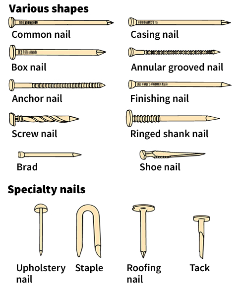 Some types of nails