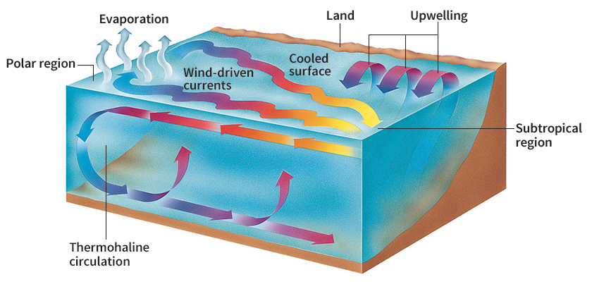 How ocean currents are created