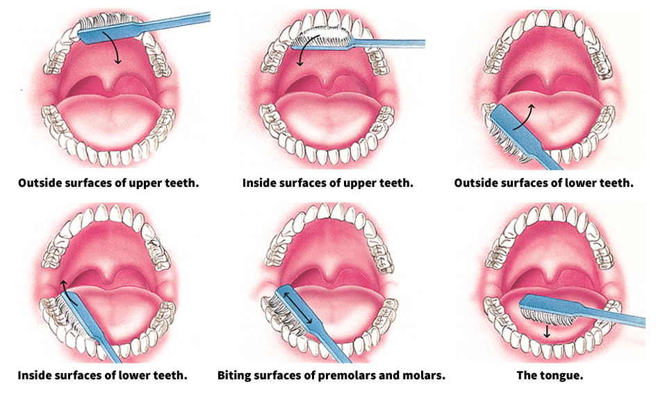 How to brush your teeth