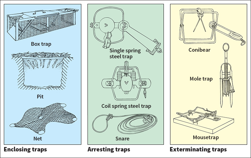 Kinds of traps