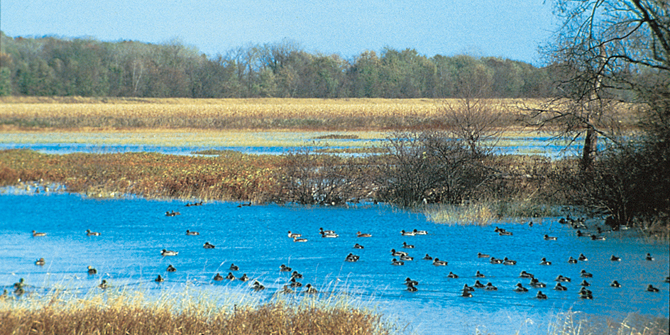 Illinois River Valley