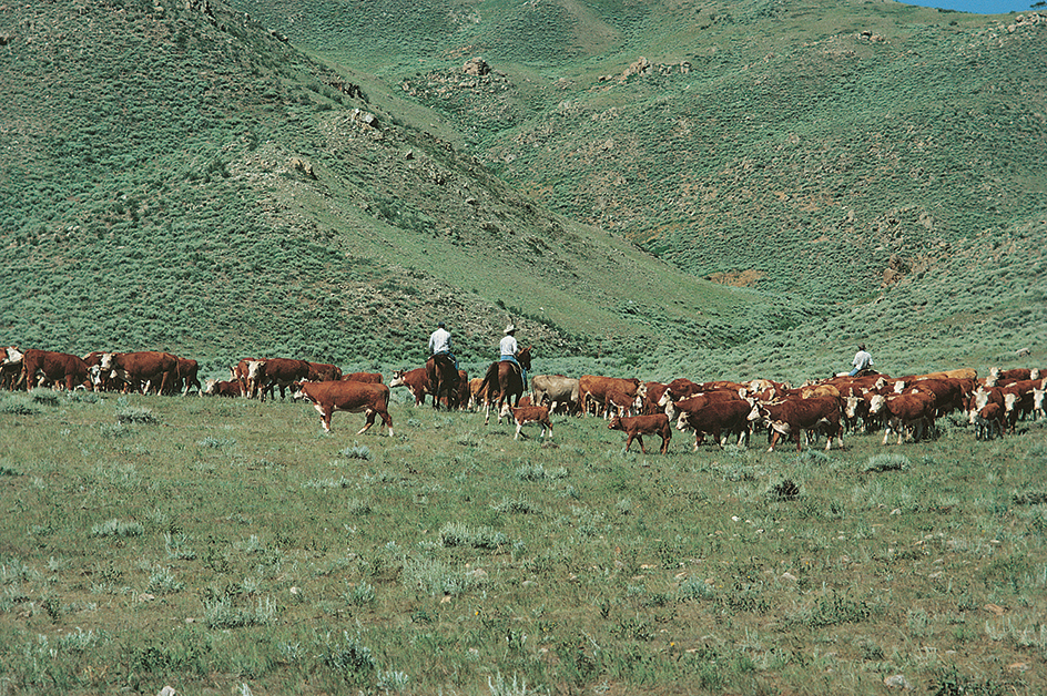 Ranchers on a Wyoming range