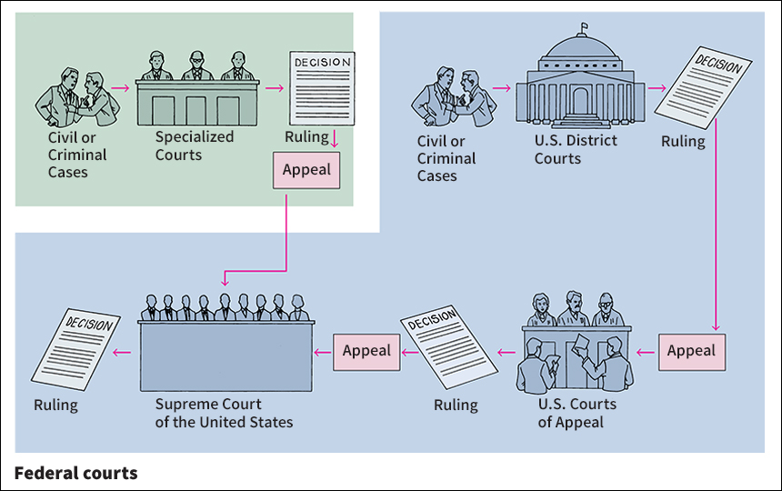 United States court system: federal courts