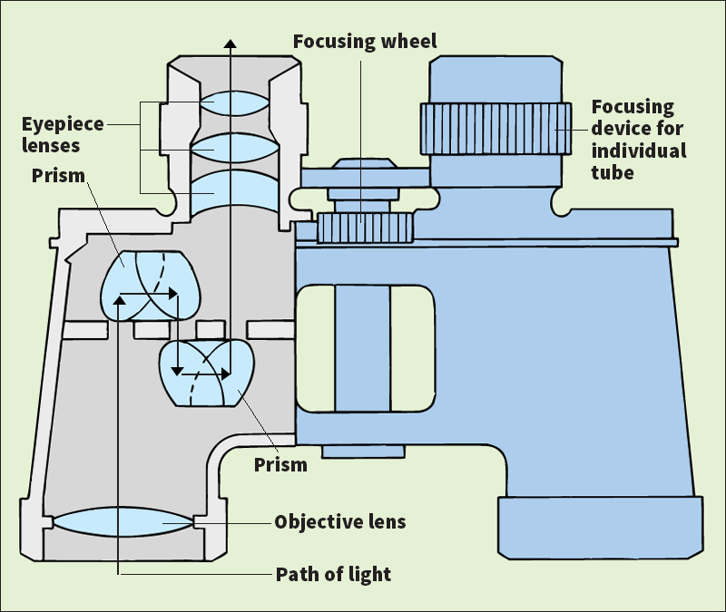 Parts of binoculars