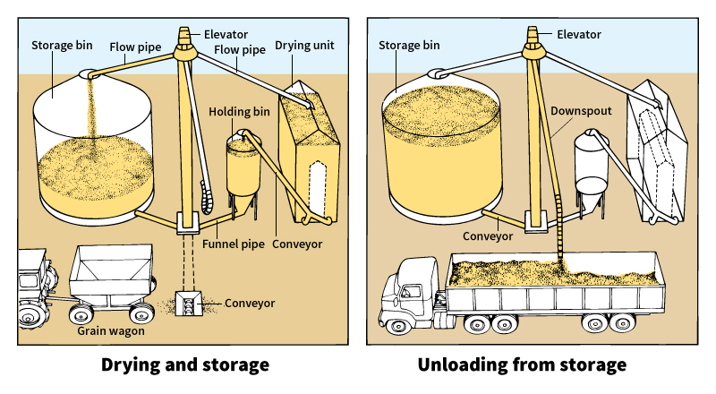 Automated grain storage system