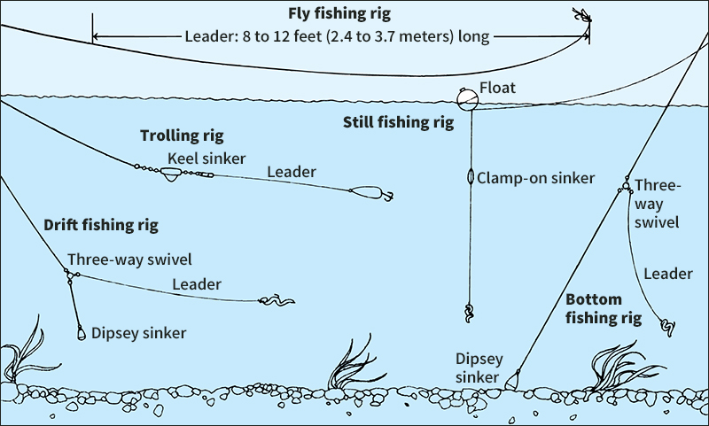 Five ways to rig a fishing line