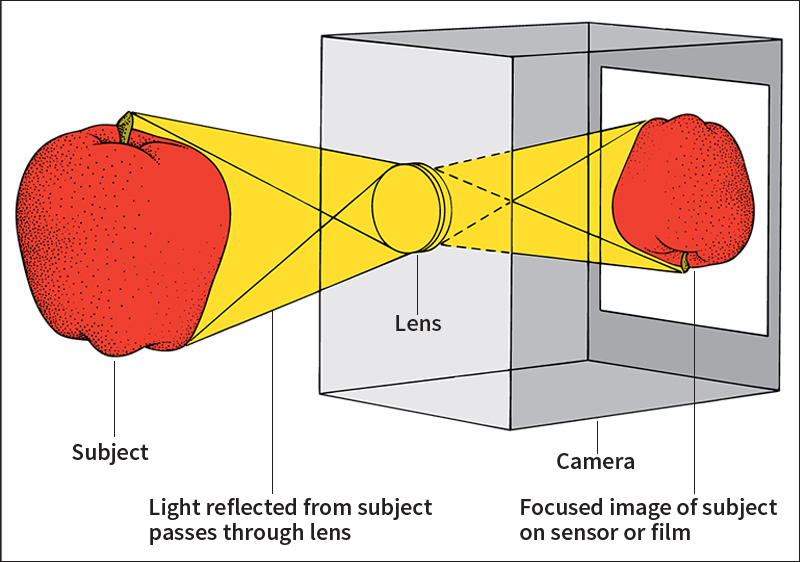 How an image is formed inside a camera