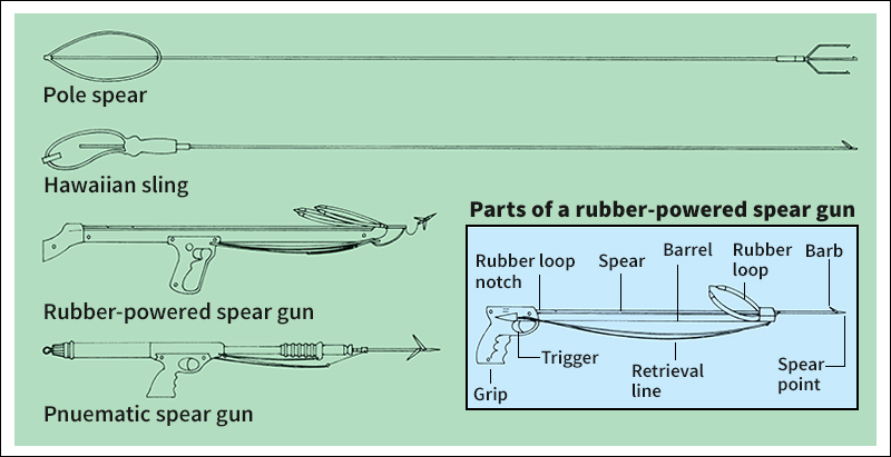 Kinds of spears and spear guns