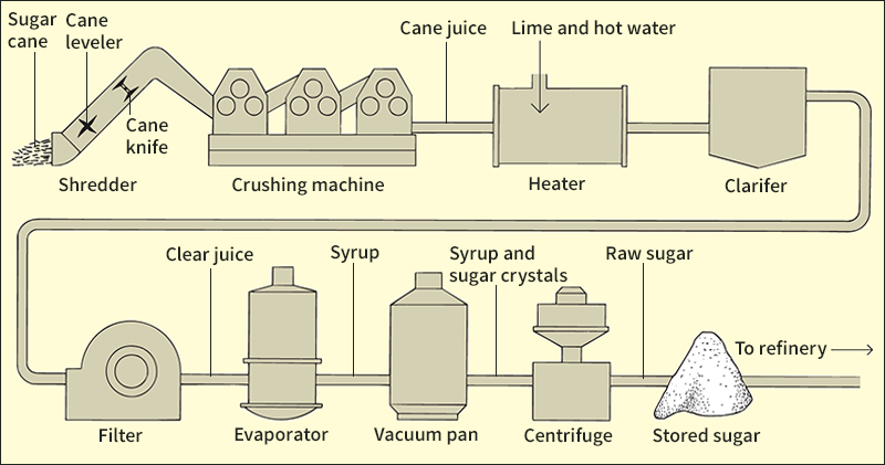 How raw sugar is obtained from sugar cane