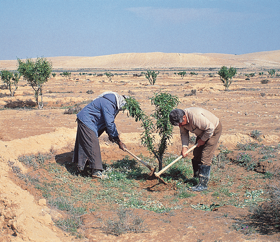 Farming in dry regions