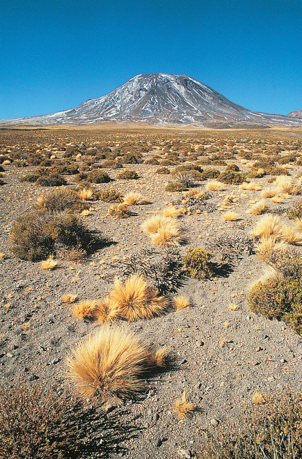 Atacama Desert in Chile