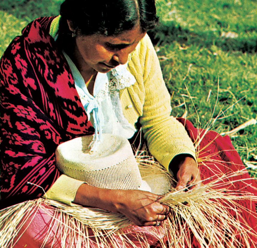 Panama hats made in Ecuador