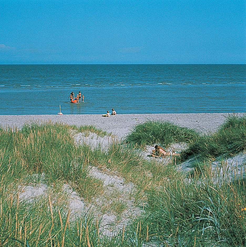 Denmark's Western Dune Coast