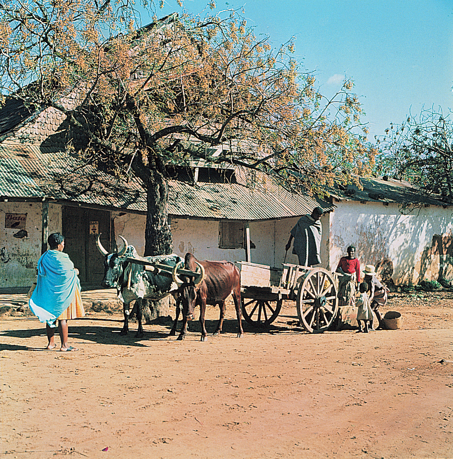 Southern Madagascar