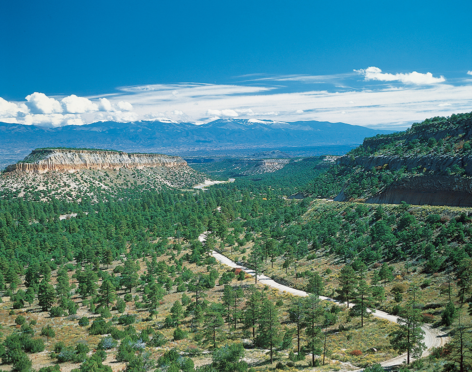 Canyon near Los Alamos, New Mexico