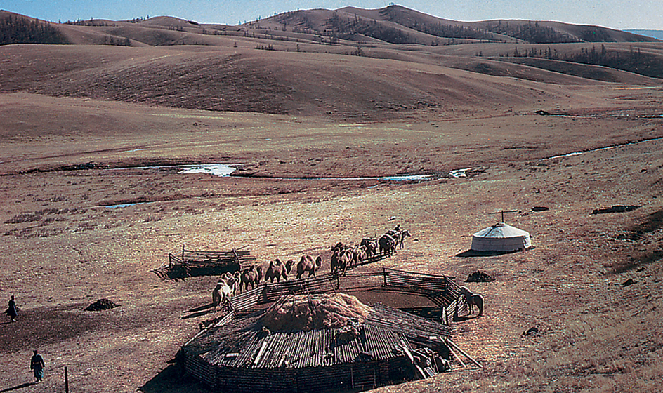 Mongolian plains