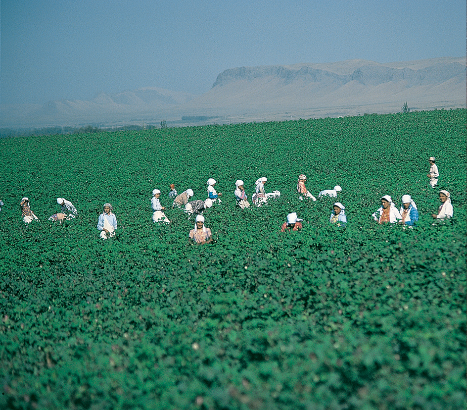 Farmworkers in Uzbekistan