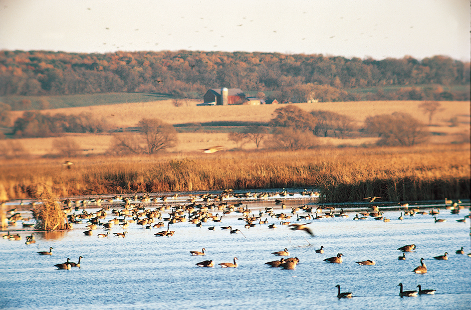 Horicon Marsh in Wisconsin