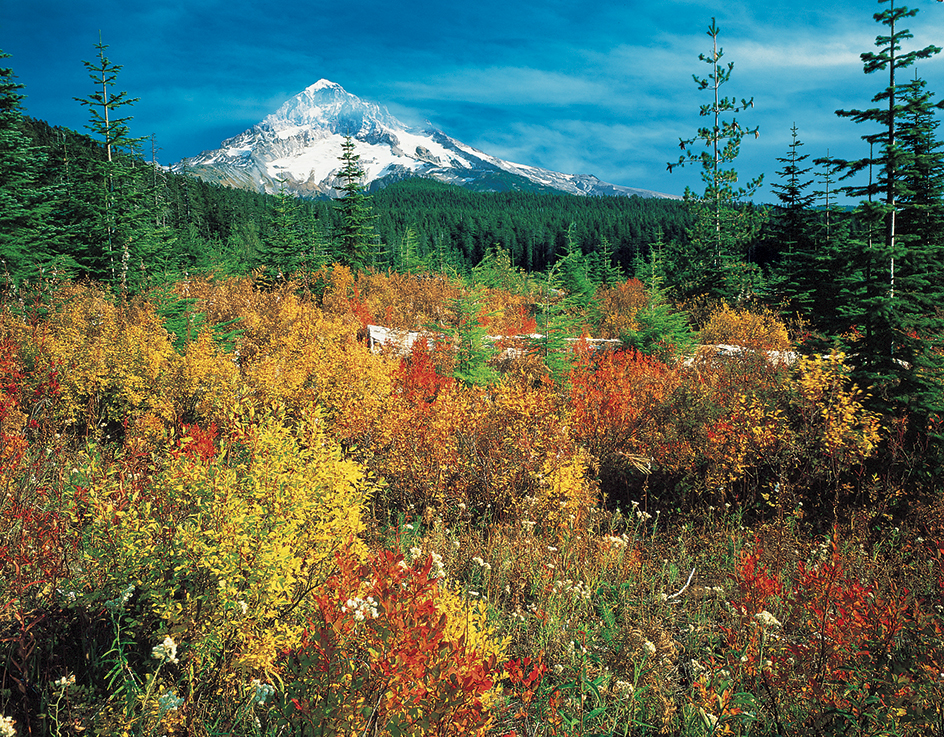 Mount Hood