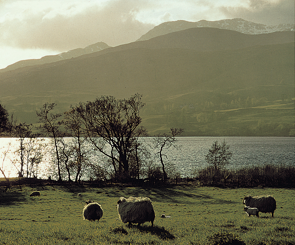 Northwest Mountain region of Europe