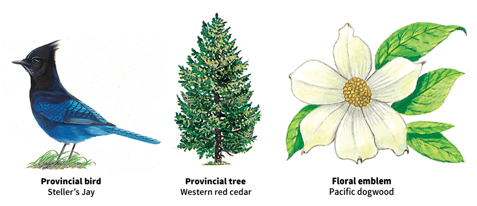 British Columbia bird, tree, and floral emblem