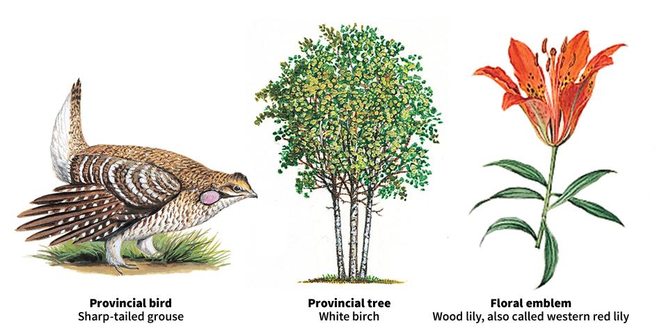 Saskatchewan bird, tree, and floral emblem