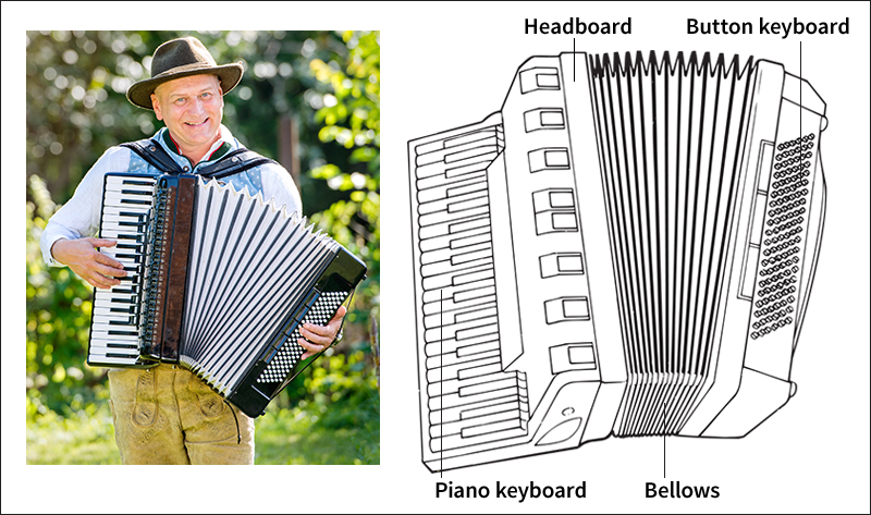 Accordion