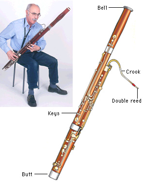 Bassoon