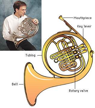 French horn