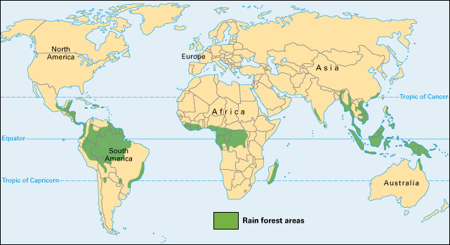 Rain forests of the world