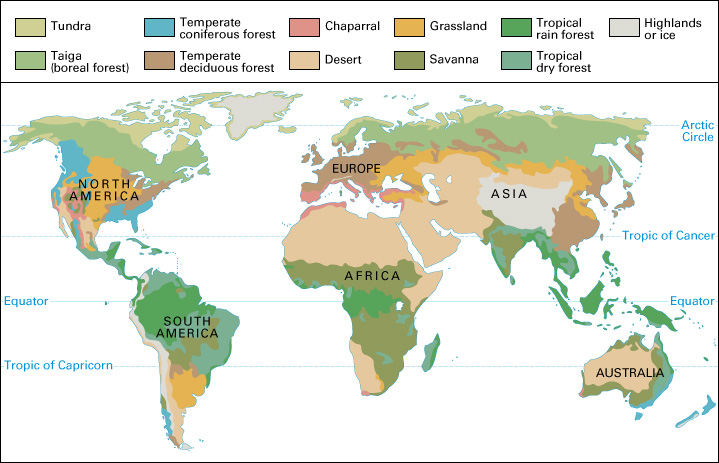 Biomes of the world