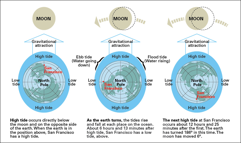 Causes of ocean tides