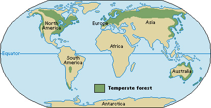 Animals of the temperate forests