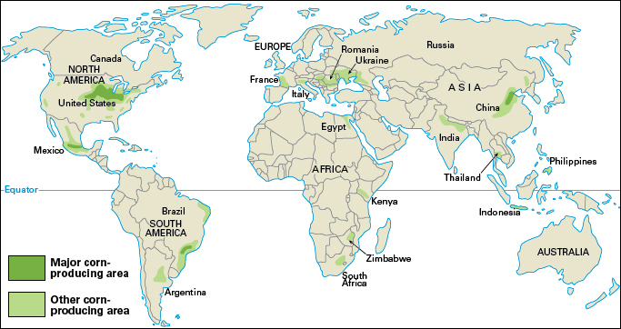 Corn-producing areas of the world