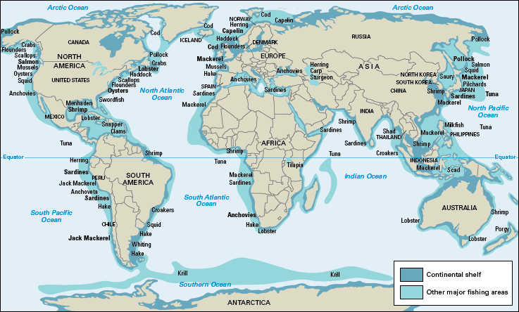 Commercial fishing areas of the world